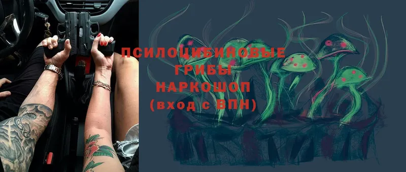 что такое наркотик  Ревда  Галлюциногенные грибы Psilocybine cubensis 